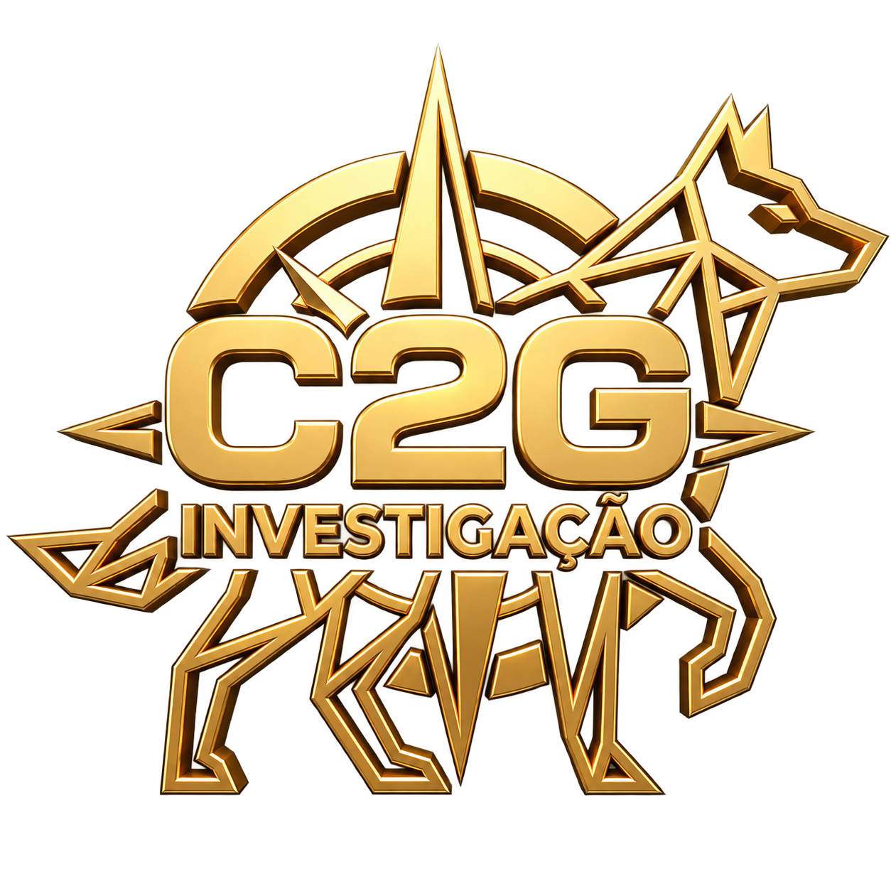 C2G Investigação